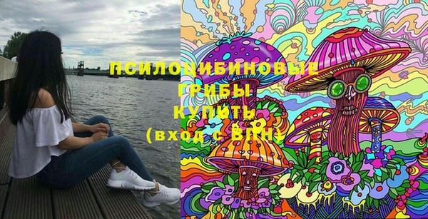 МДПВ Богданович