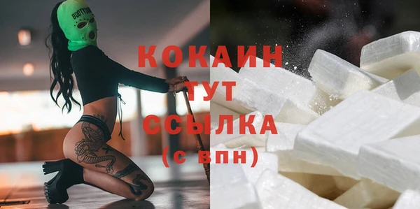 твердый Богородск