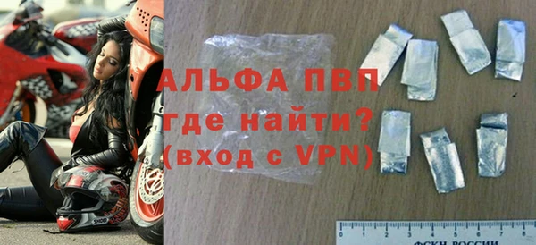 прущие грибы Богородицк