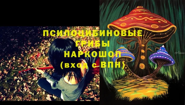 МДПВ Богданович