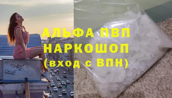 ПСИЛОЦИБИНОВЫЕ ГРИБЫ Сясьстрой