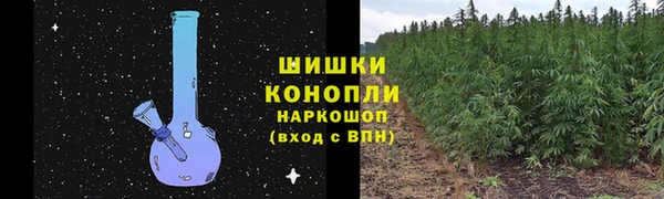 прущие грибы Богородицк