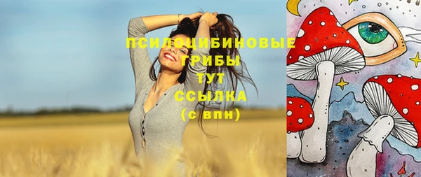 МДПВ Богданович