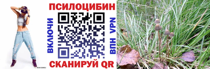 Галлюциногенные грибы GOLDEN TEACHER  Моздок 